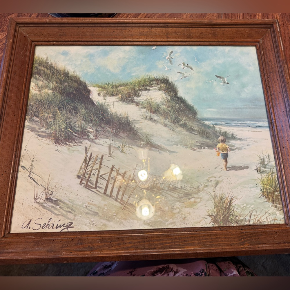 A day at the beach photo